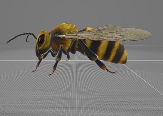 Bee Animation 3D model_3