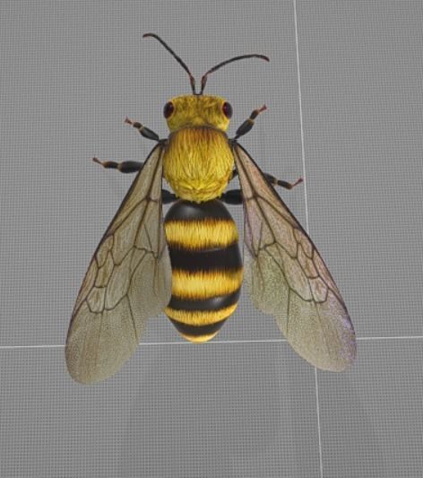 Bee Animation 3D model_4