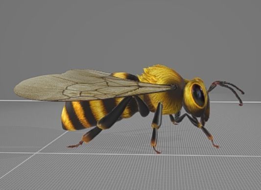Bee Animation 3D model_1