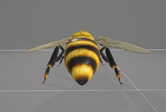 Bee Animation 3D model_2