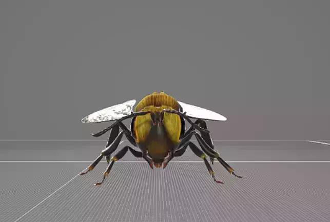 Bee Animation 3D model
