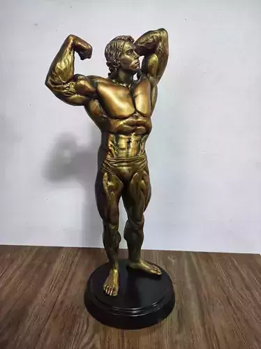 ARNOLD MUSCULOSO
