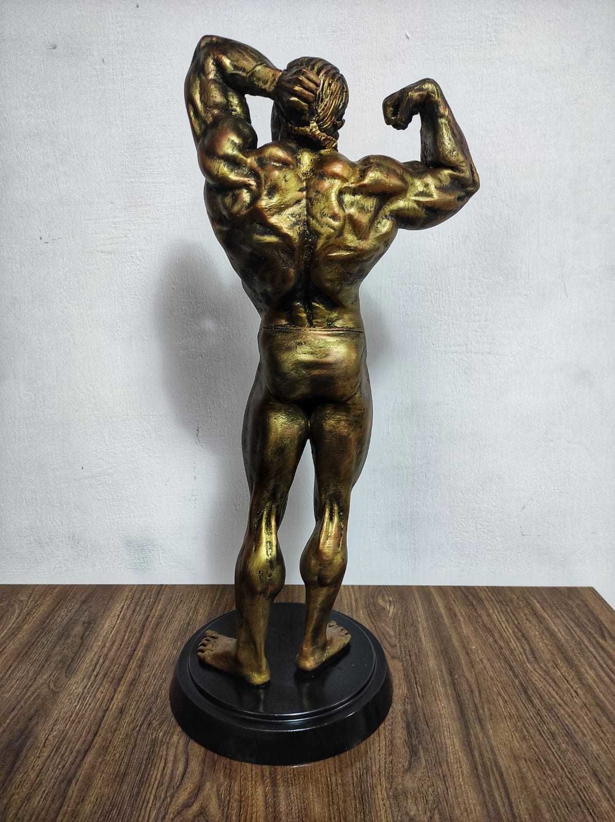 ARNOLD MUSCULOSO 3D print model_2
