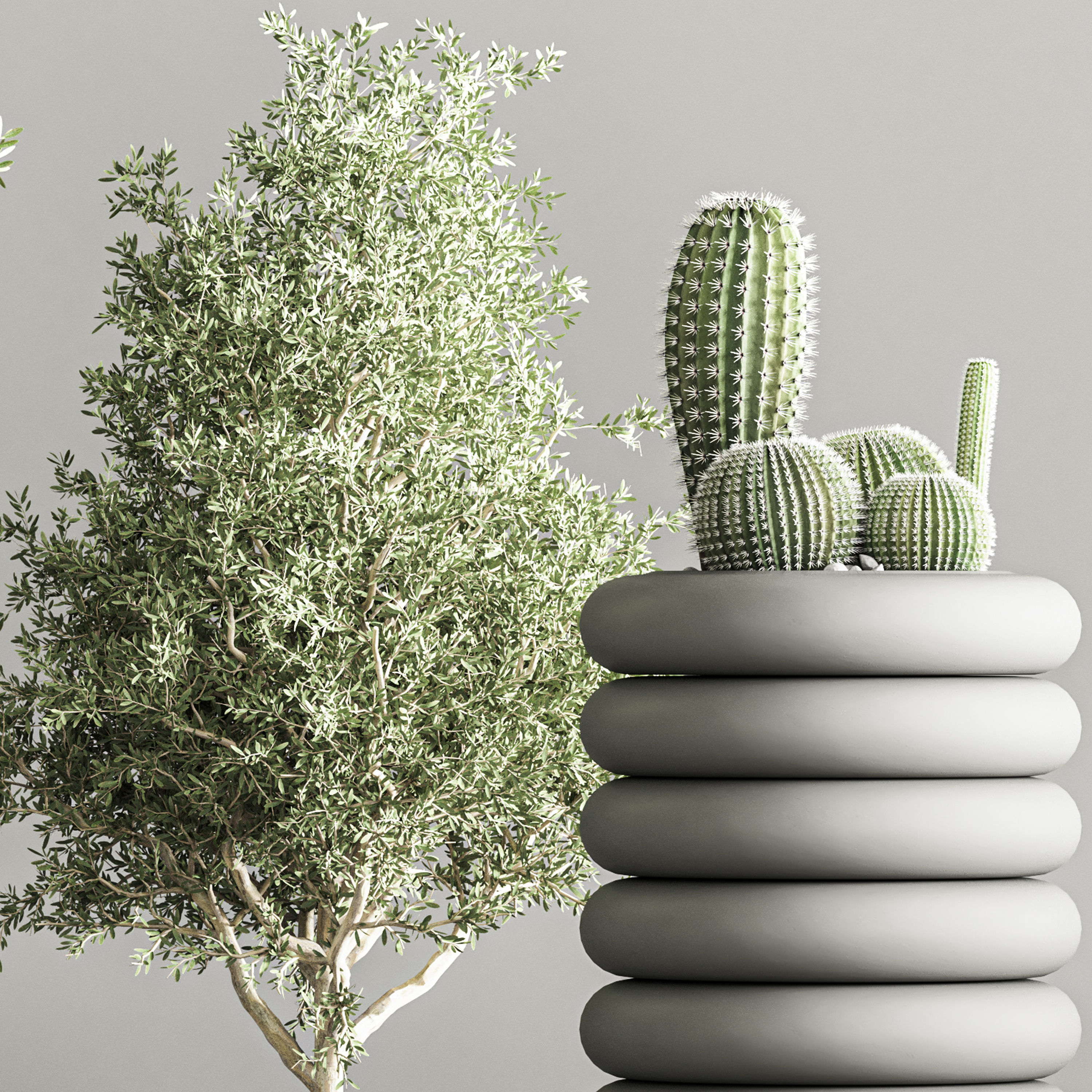 indoor plant stand 57 3D model_5