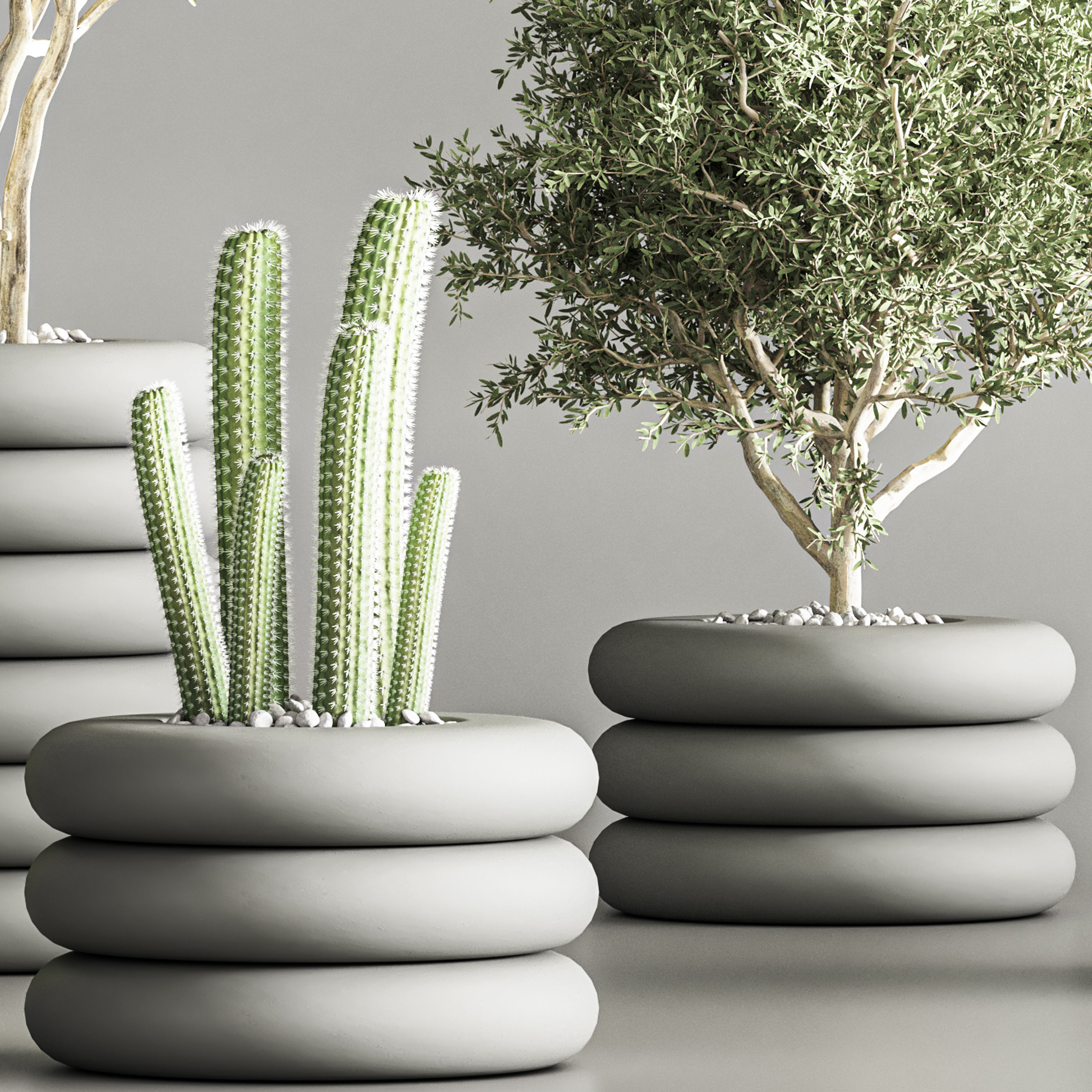 indoor plant stand 57 3D model_4