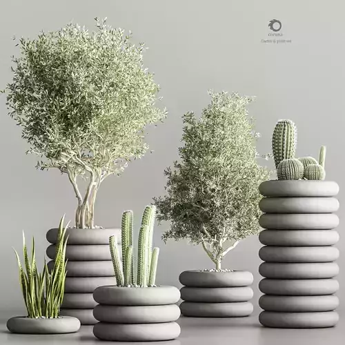 indoor plant stand 57 3D model