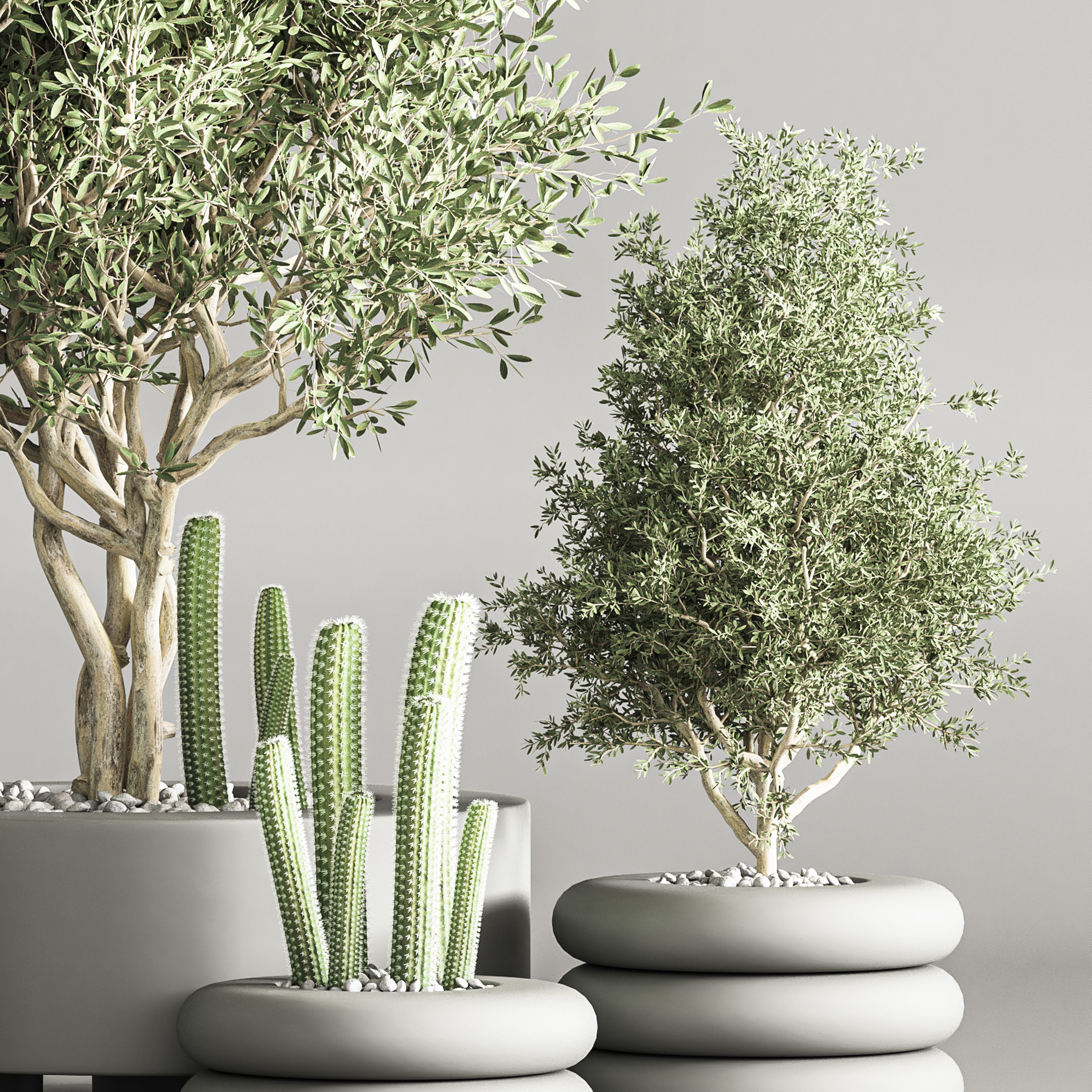 indoor plant stand 56 3D model_3