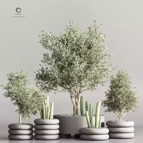 indoor plant stand 56 3D model