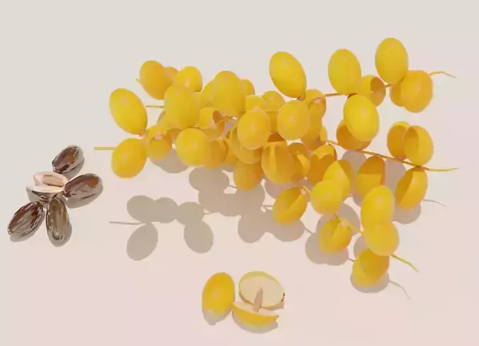 Dates Fruit 3D model