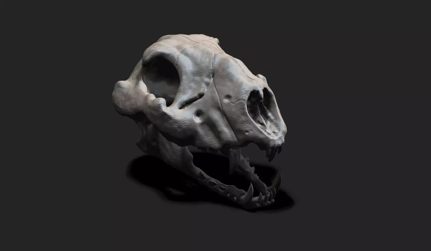 Creature Skull  3D model_0