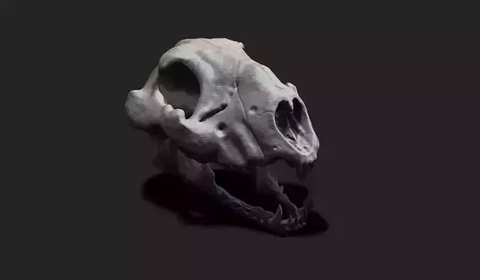 Creature Skull 