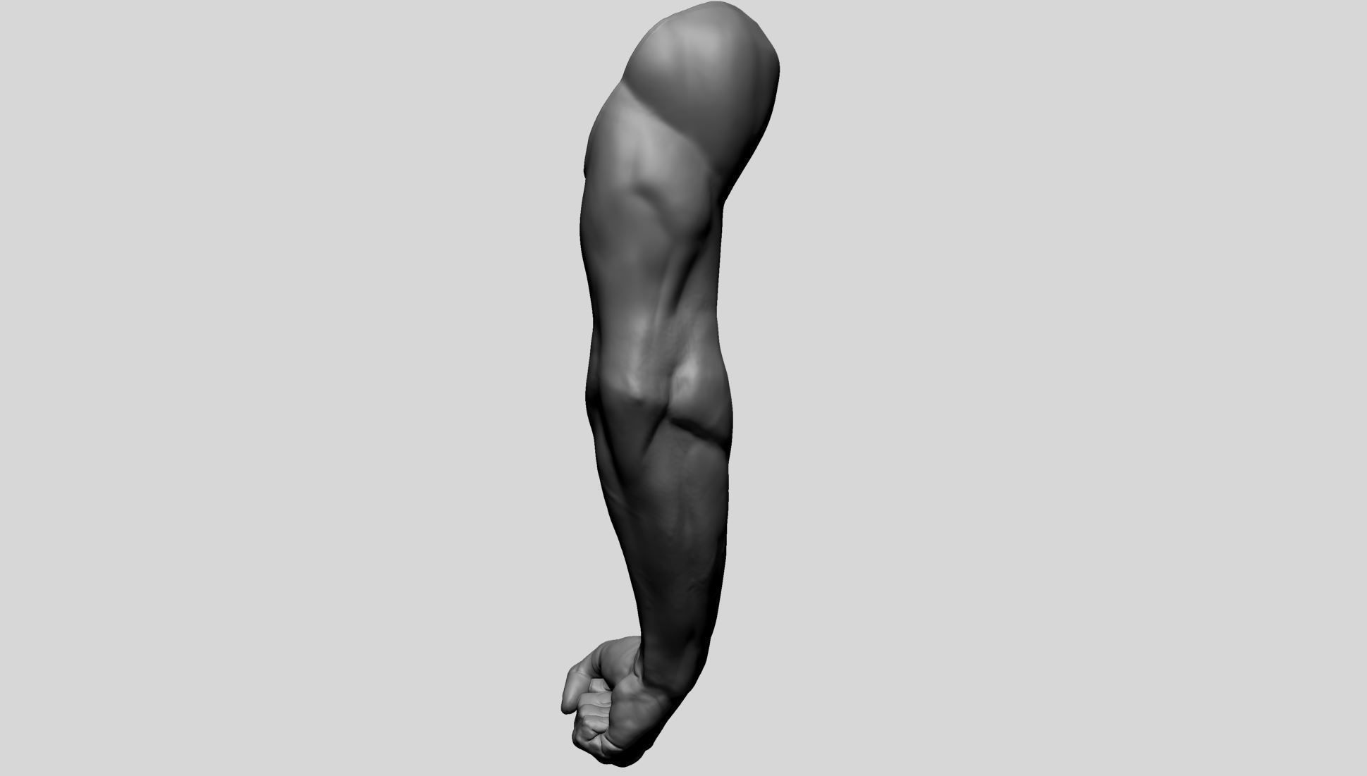 Arm - Fist 3D model_7