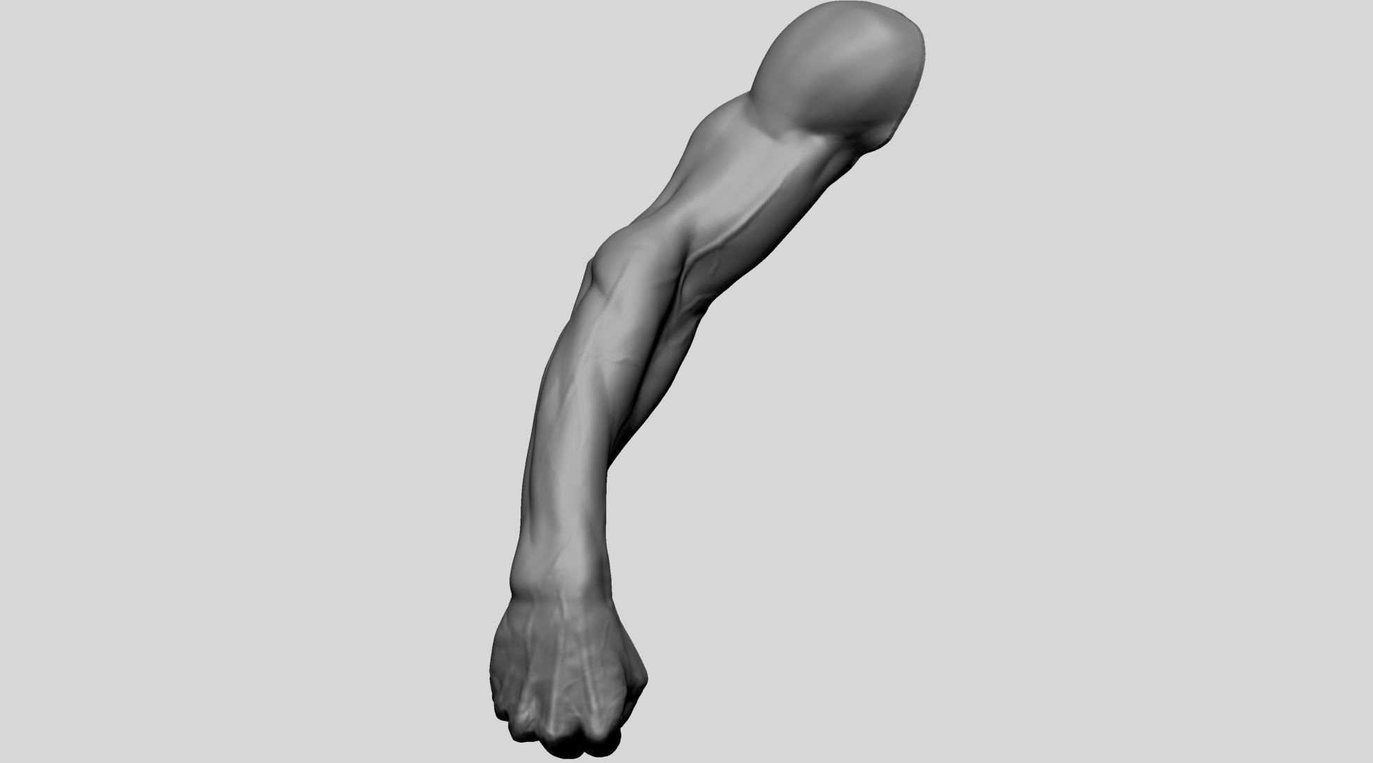 Arm - Fist 3D model_5