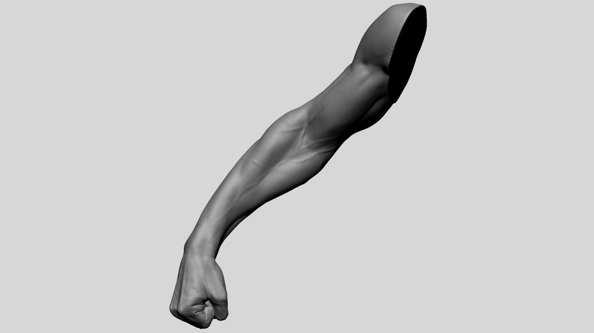 Arm - Fist 3D model_4