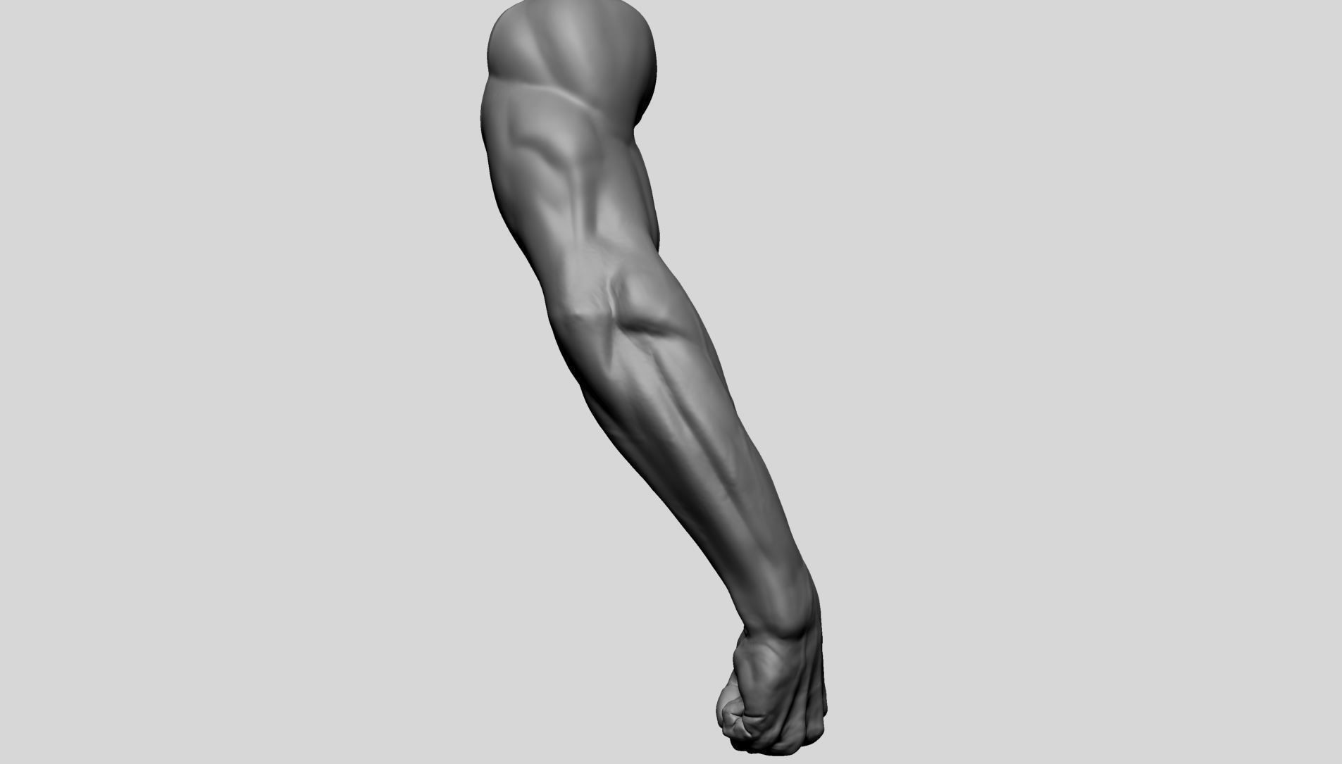 Arm - Fist 3D model_1