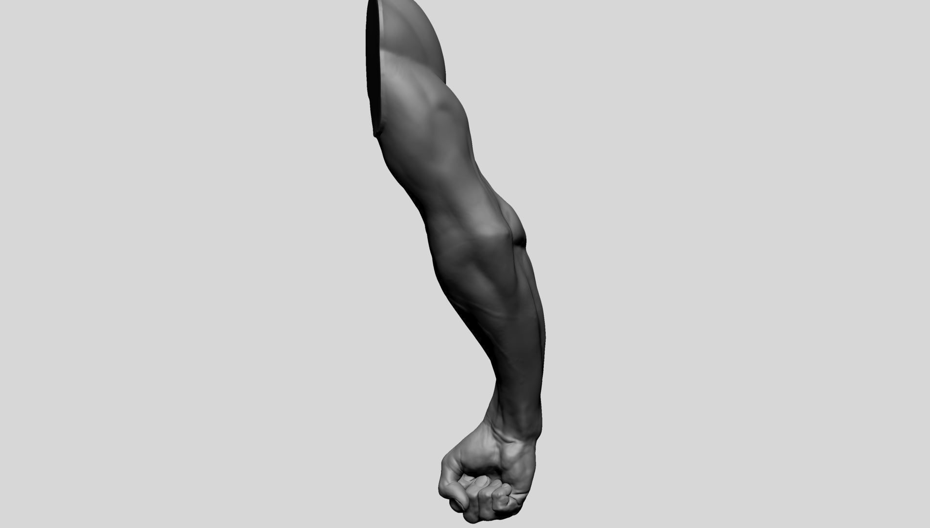 Arm - Fist 3D model_2