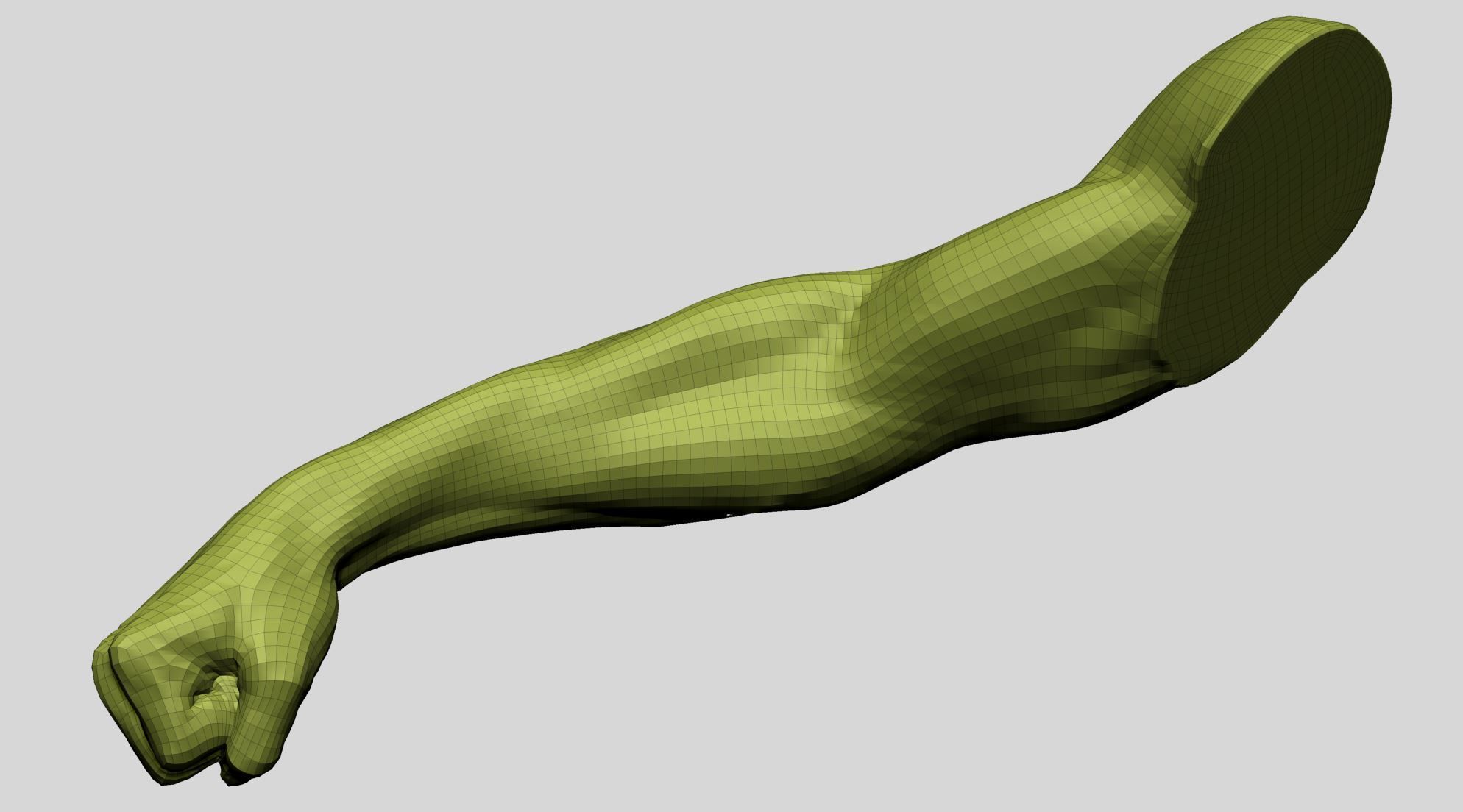 Arm - Fist 3D model_13