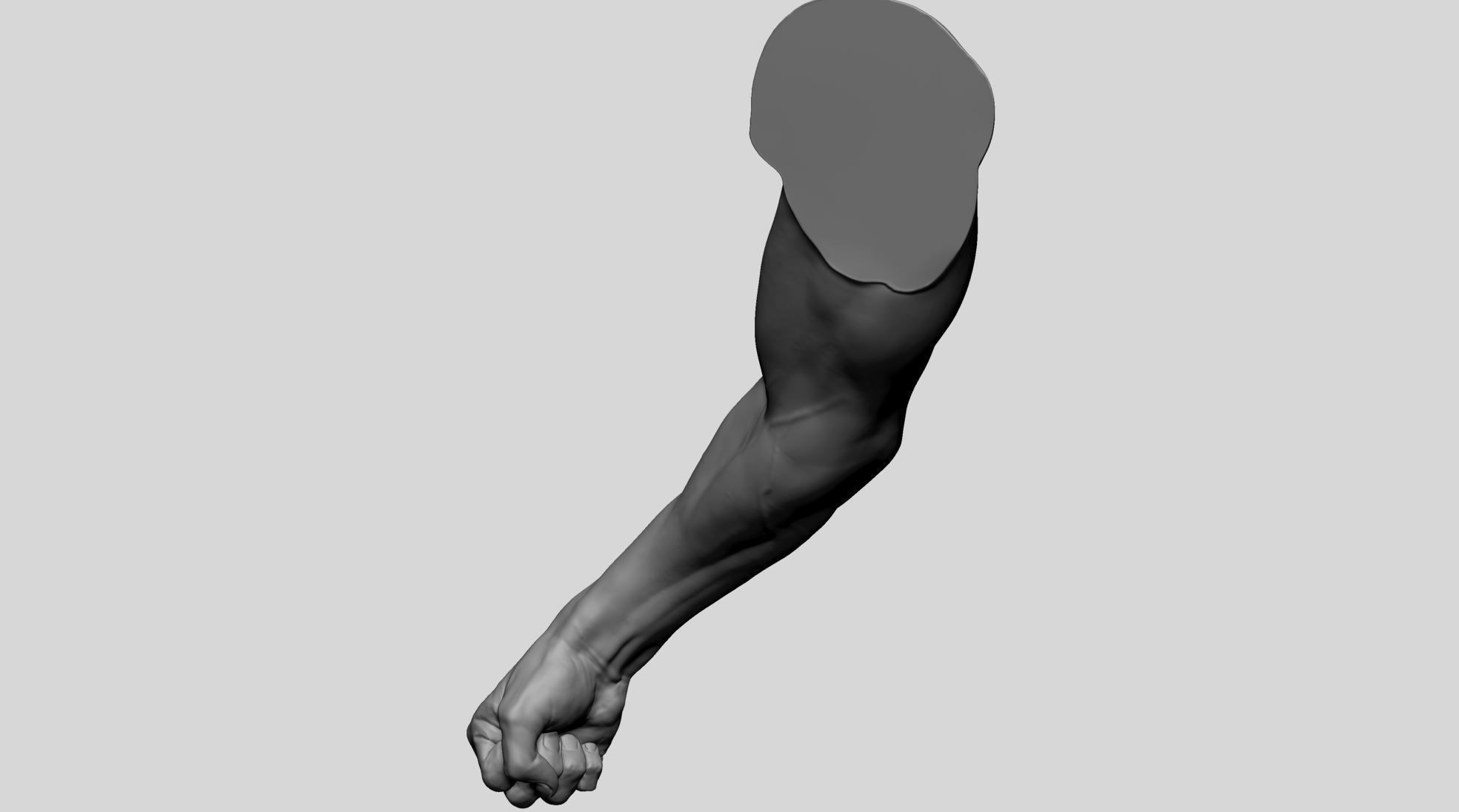 Arm - Fist 3D model_3