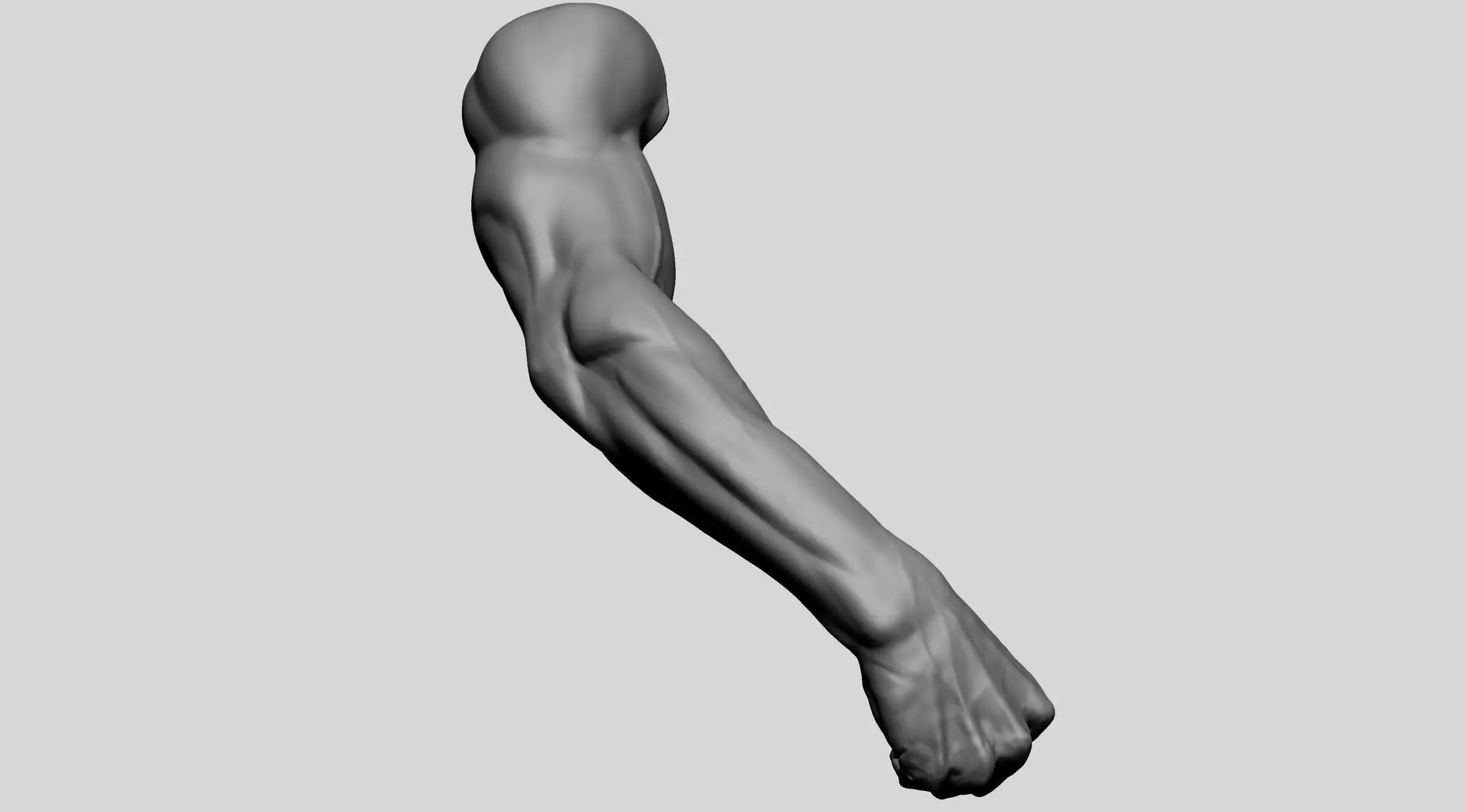 Arm - Fist 3D model_0