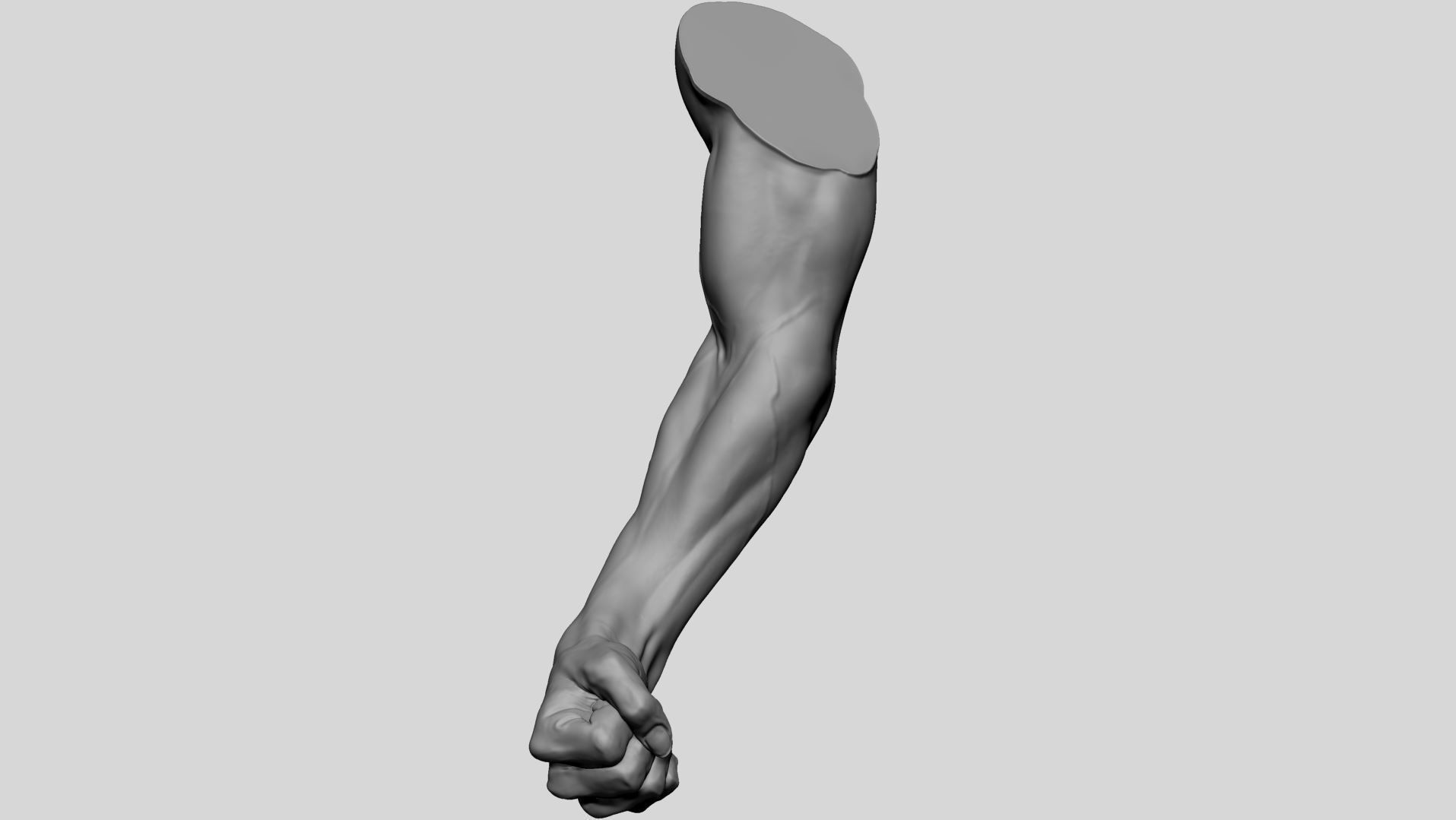 Arm - Fist 3D model_6