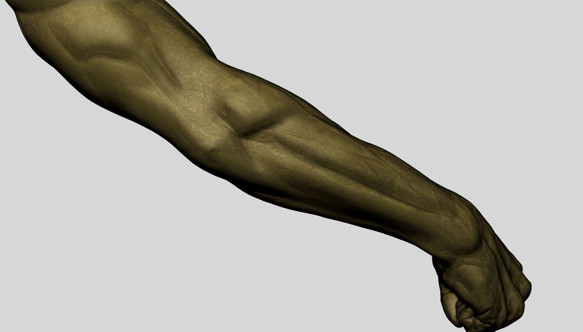 Arm - Fist 3D model_14