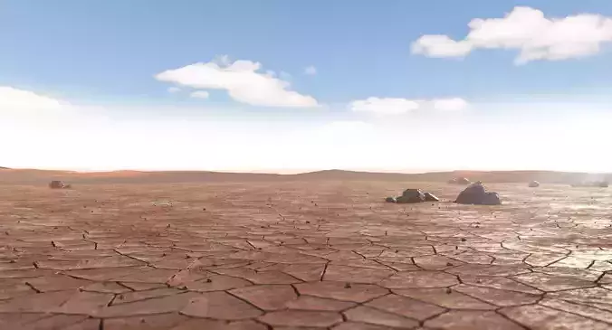 Dried Desert Bed 9 3D model