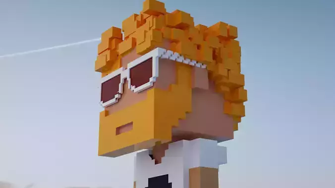 The world famous NFT Meebits 