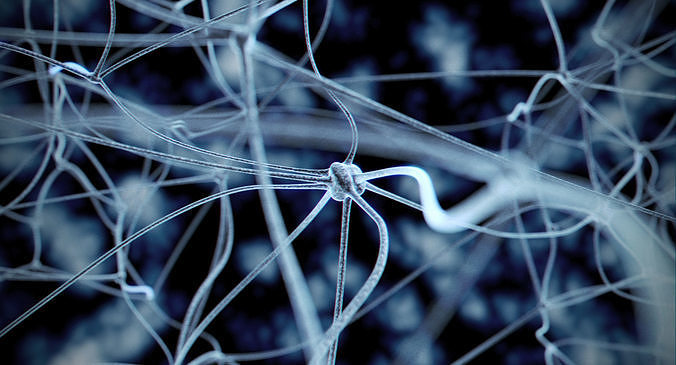Neurons close up of neuron 3D model