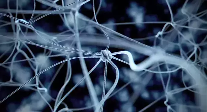 Neurons close up of neuron 3D model