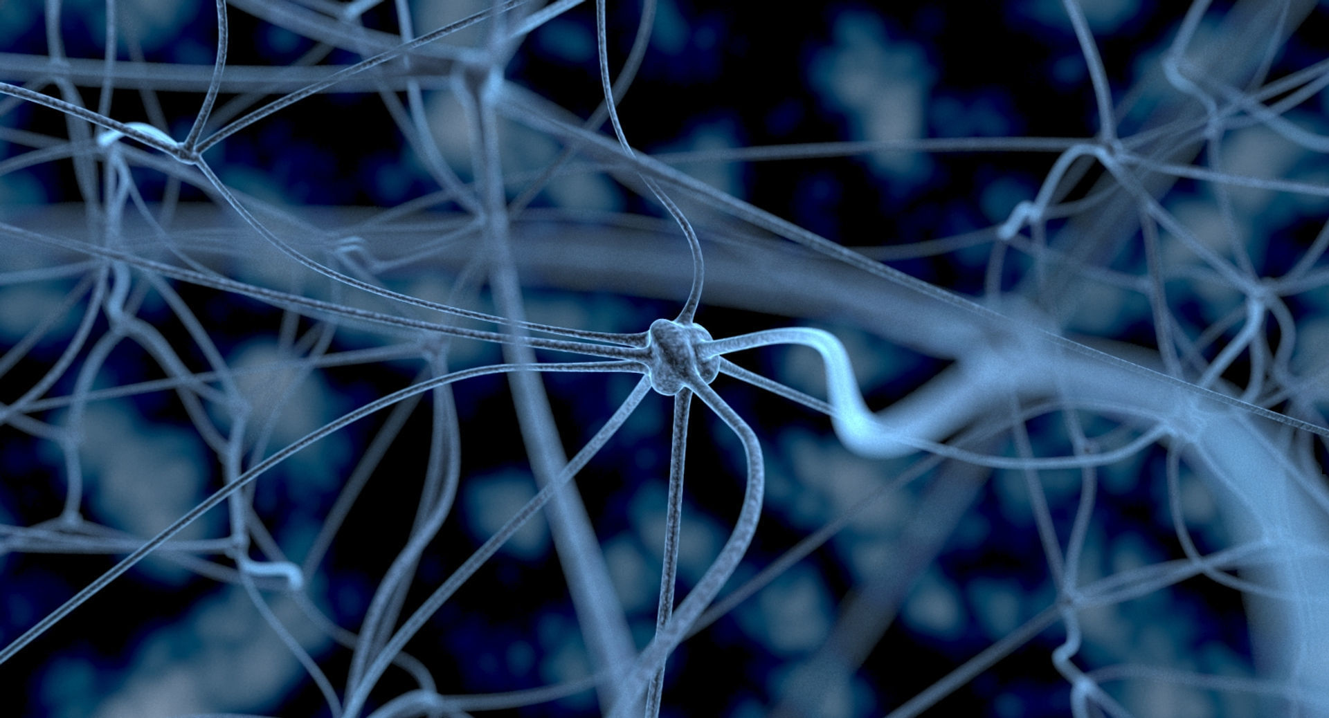 Neurons close up of neuron 3D model_3