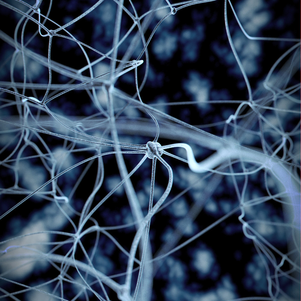 Neurons close up of neuron 3D model_18