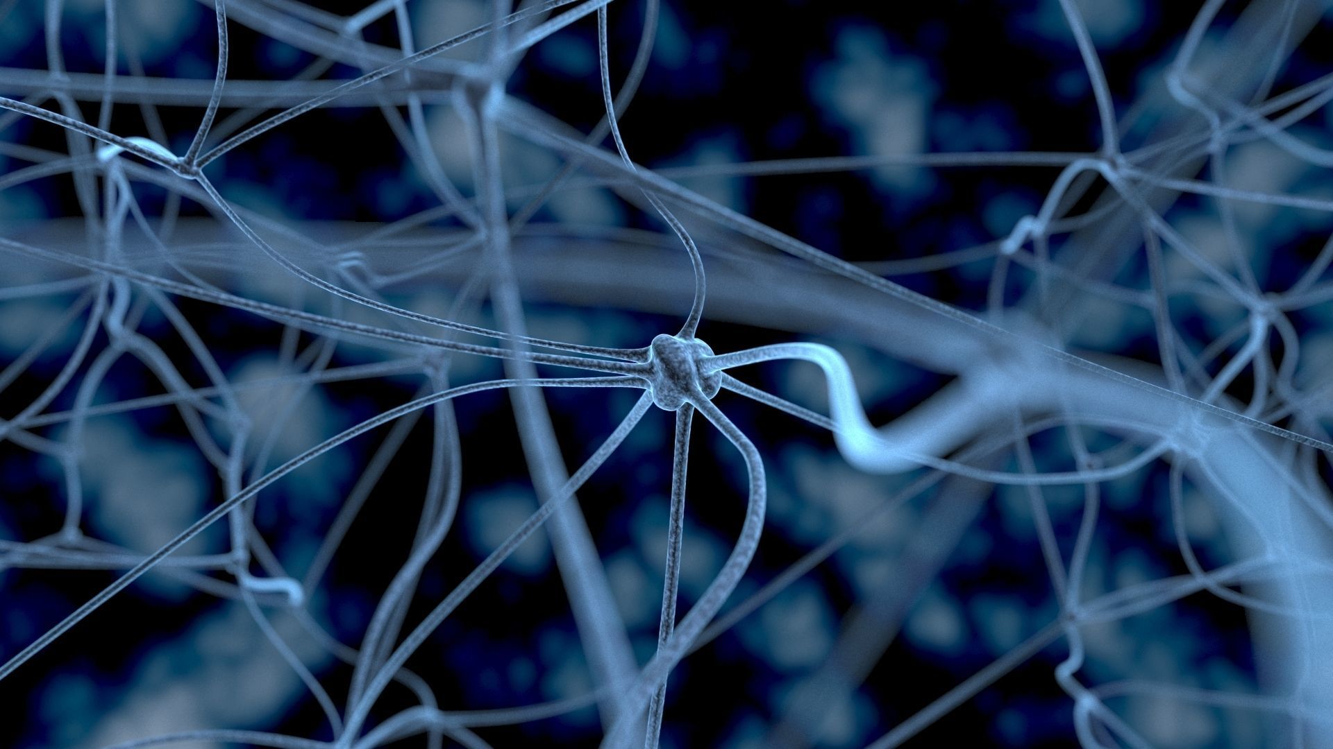 Neurons close up of neuron 3D model_9