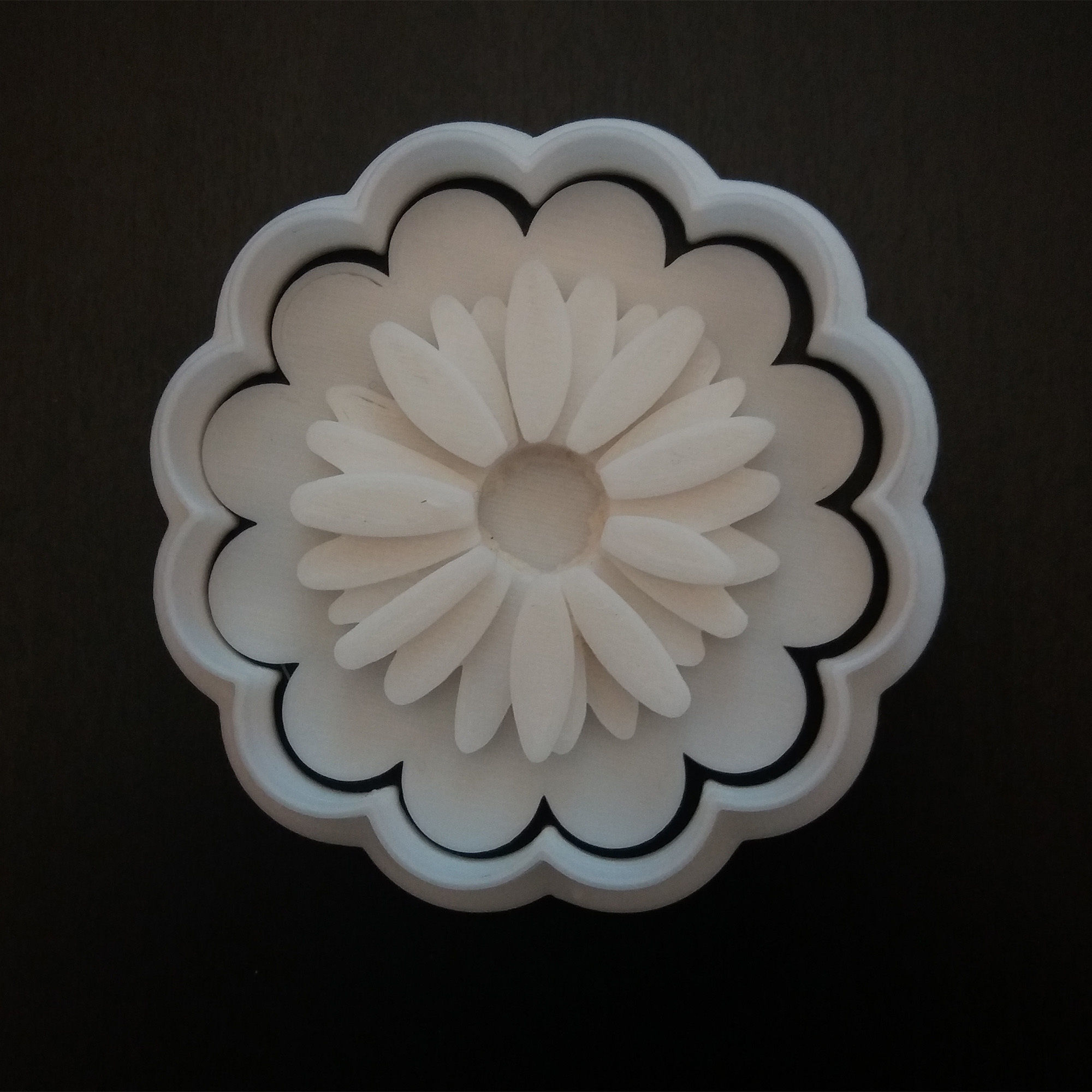 Cookie cutter with marker Daisy 3D print model_1