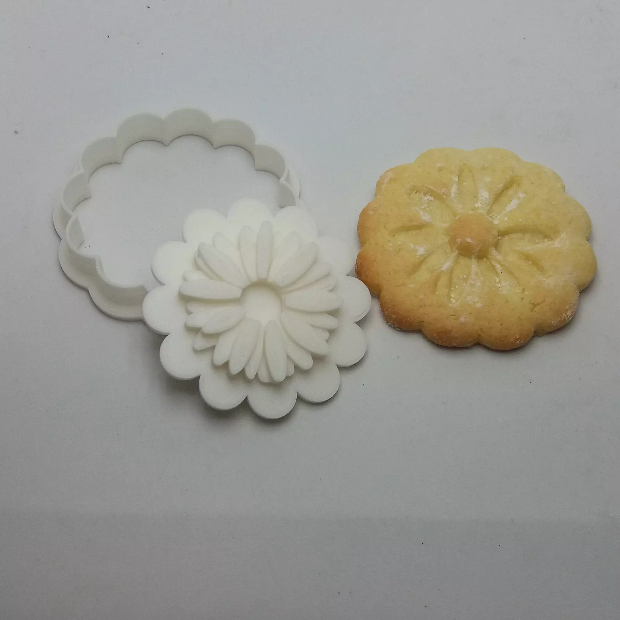 Cookie cutter with marker Daisy 3D print model_0