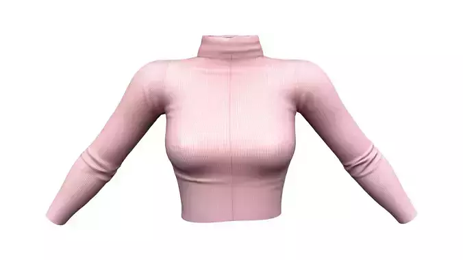 Turtle Neck Long Sleeves Crop Knitted Jumper Top