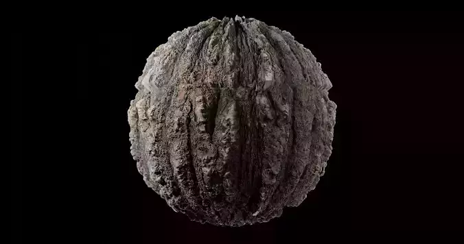 Bark 8 walnut Texture