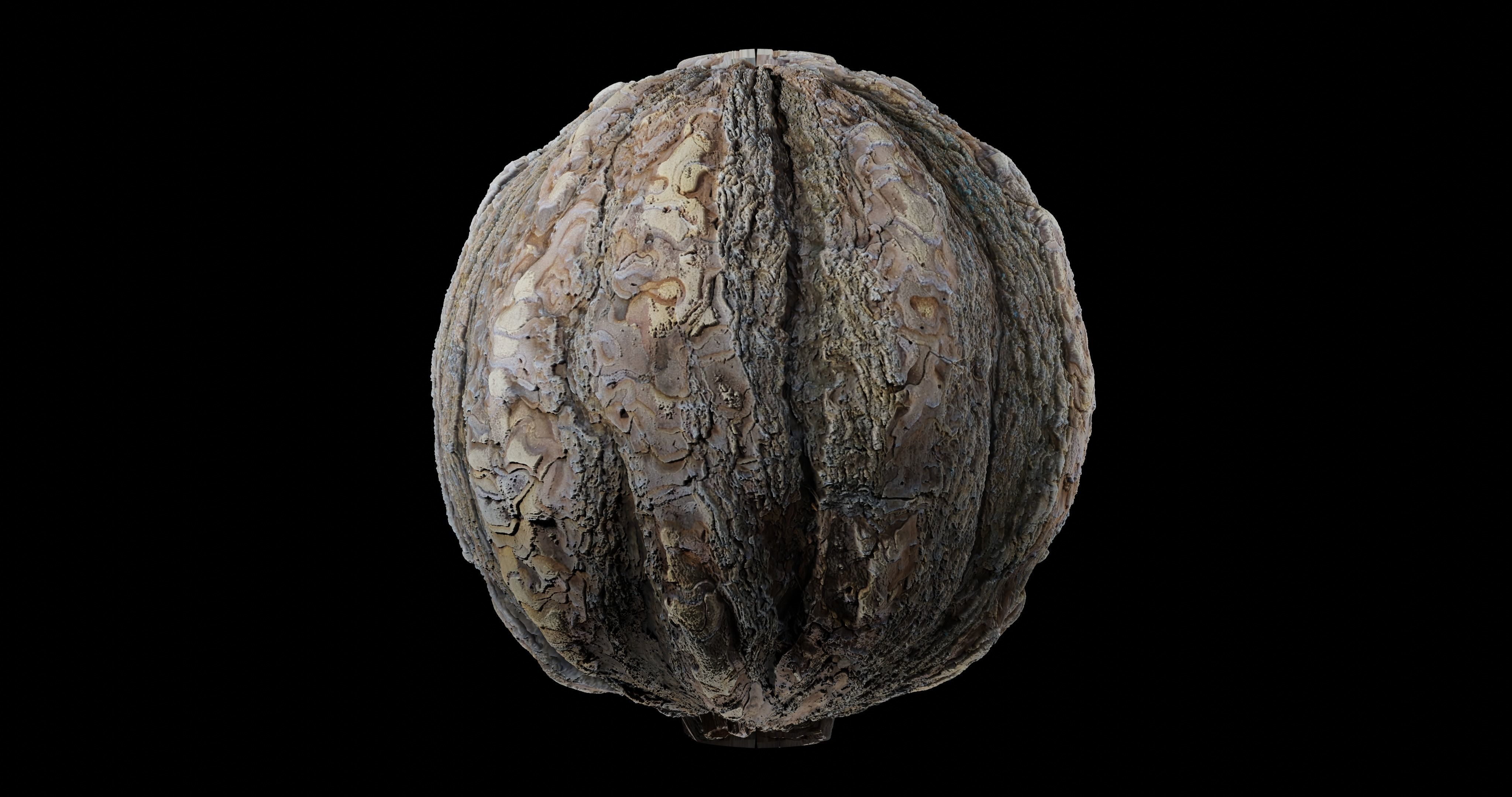 Bark 8 walnut Texture_2