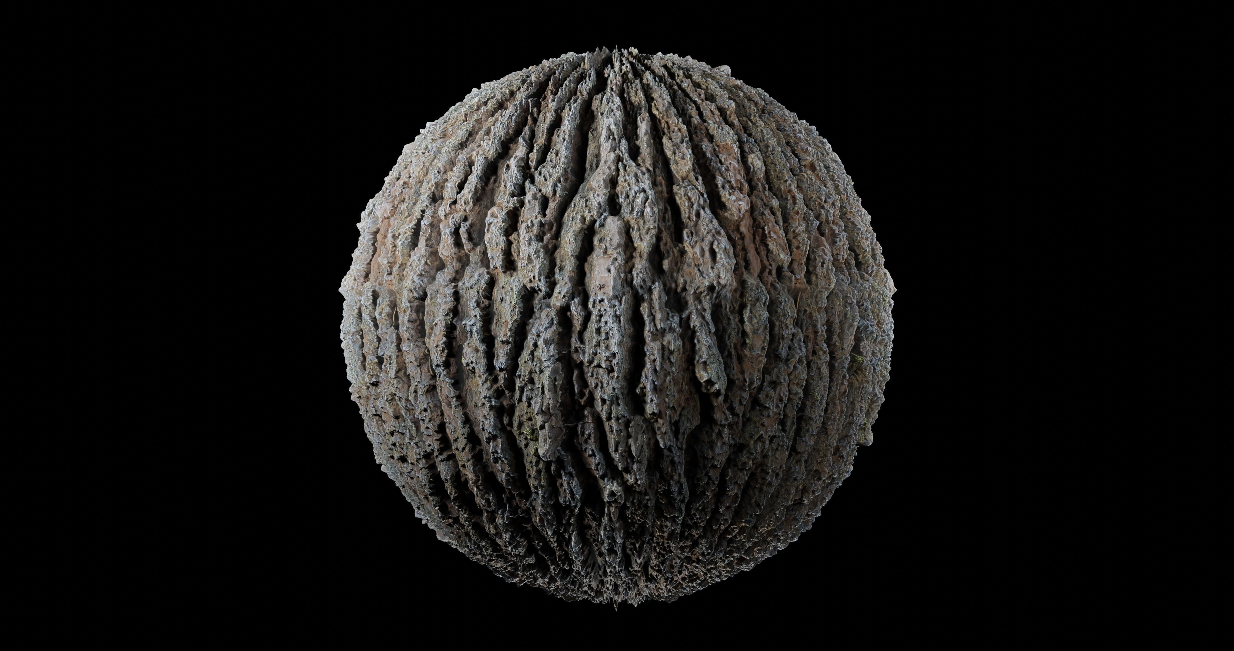 Bark 10 Texture_2