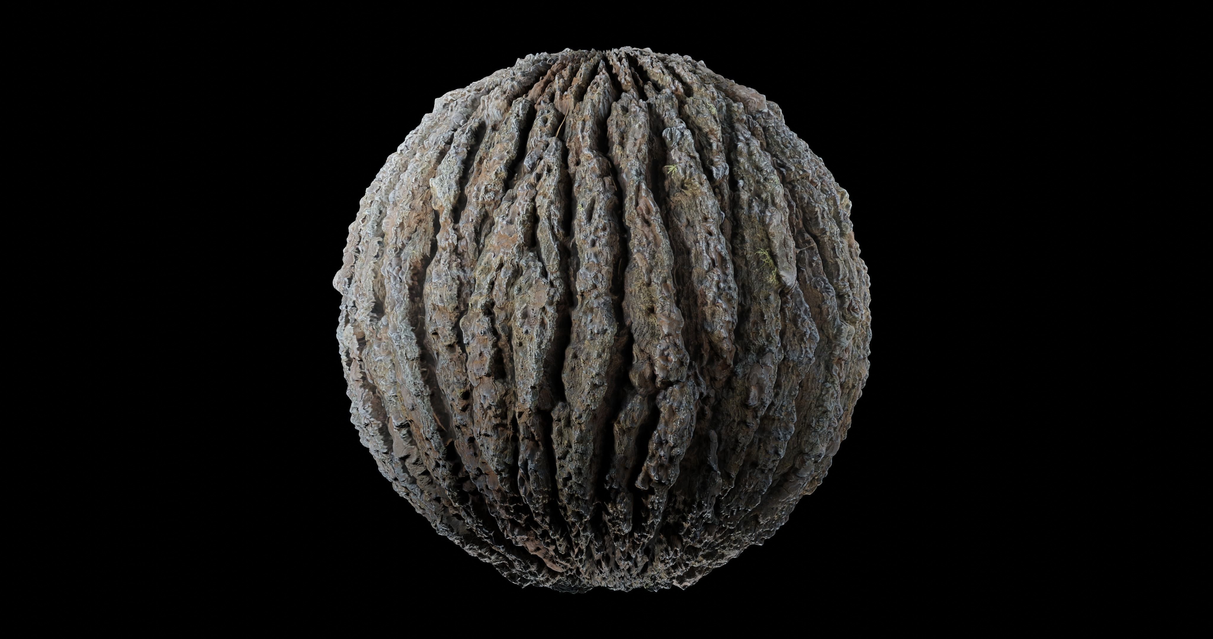 Bark 10 Texture_1
