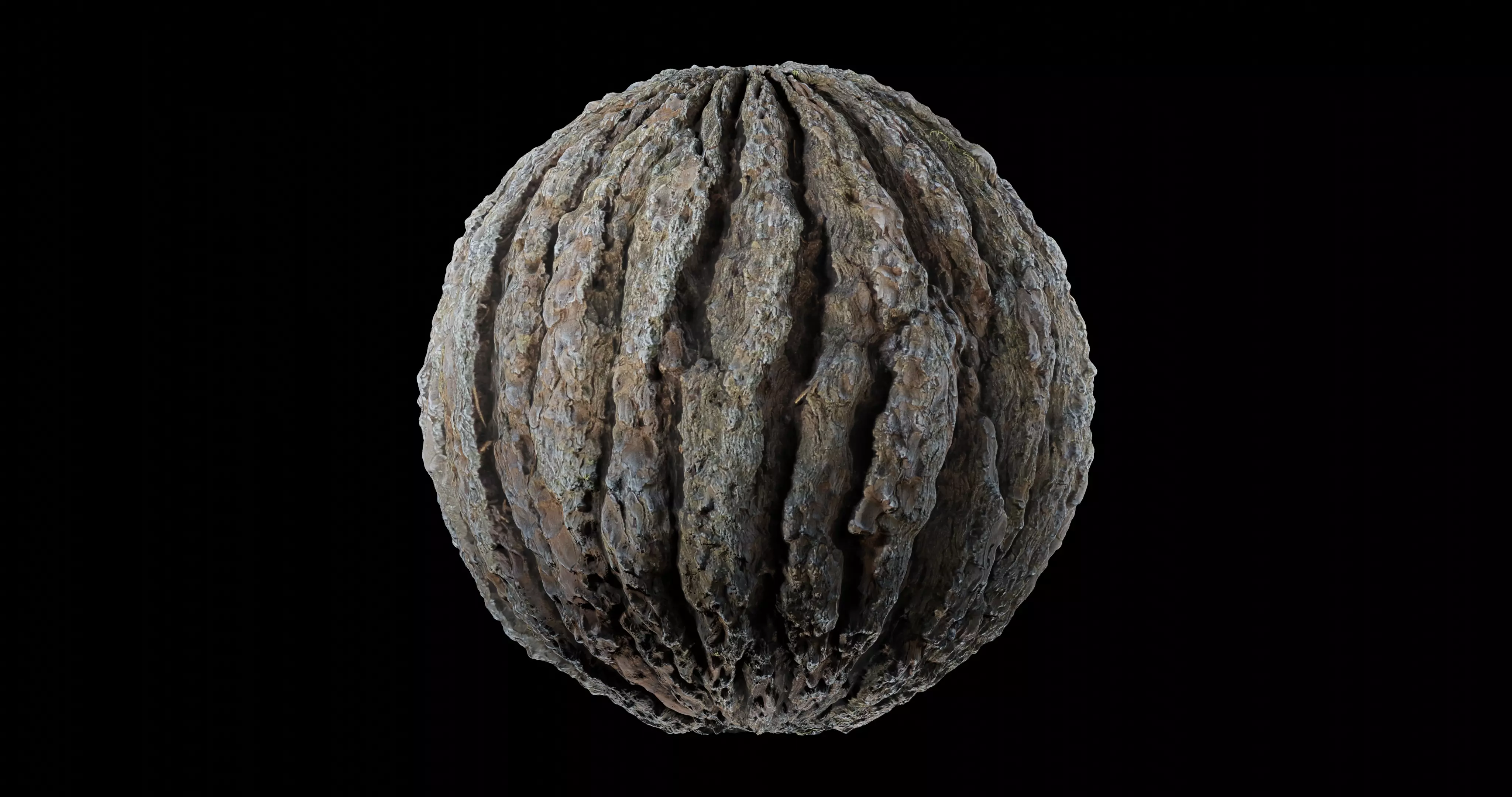 Bark 10 Texture_0