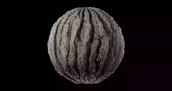 Bark 10 Texture