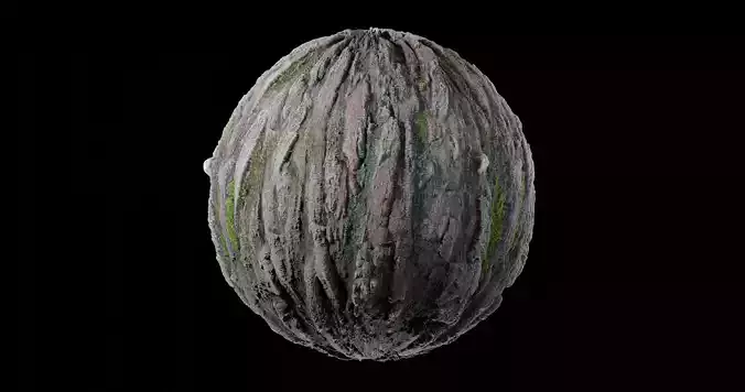 Bark 11 Texture