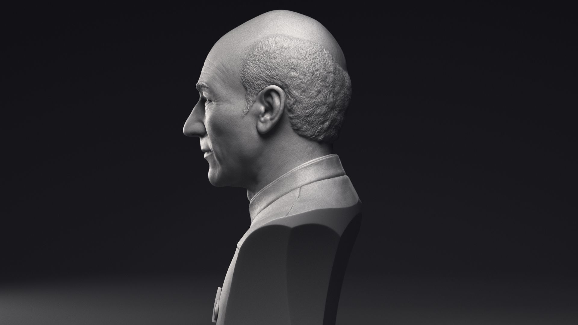 Patrick Stewart as Jean-Luc Picard Bust Printable 3D Model 3D print model_15
