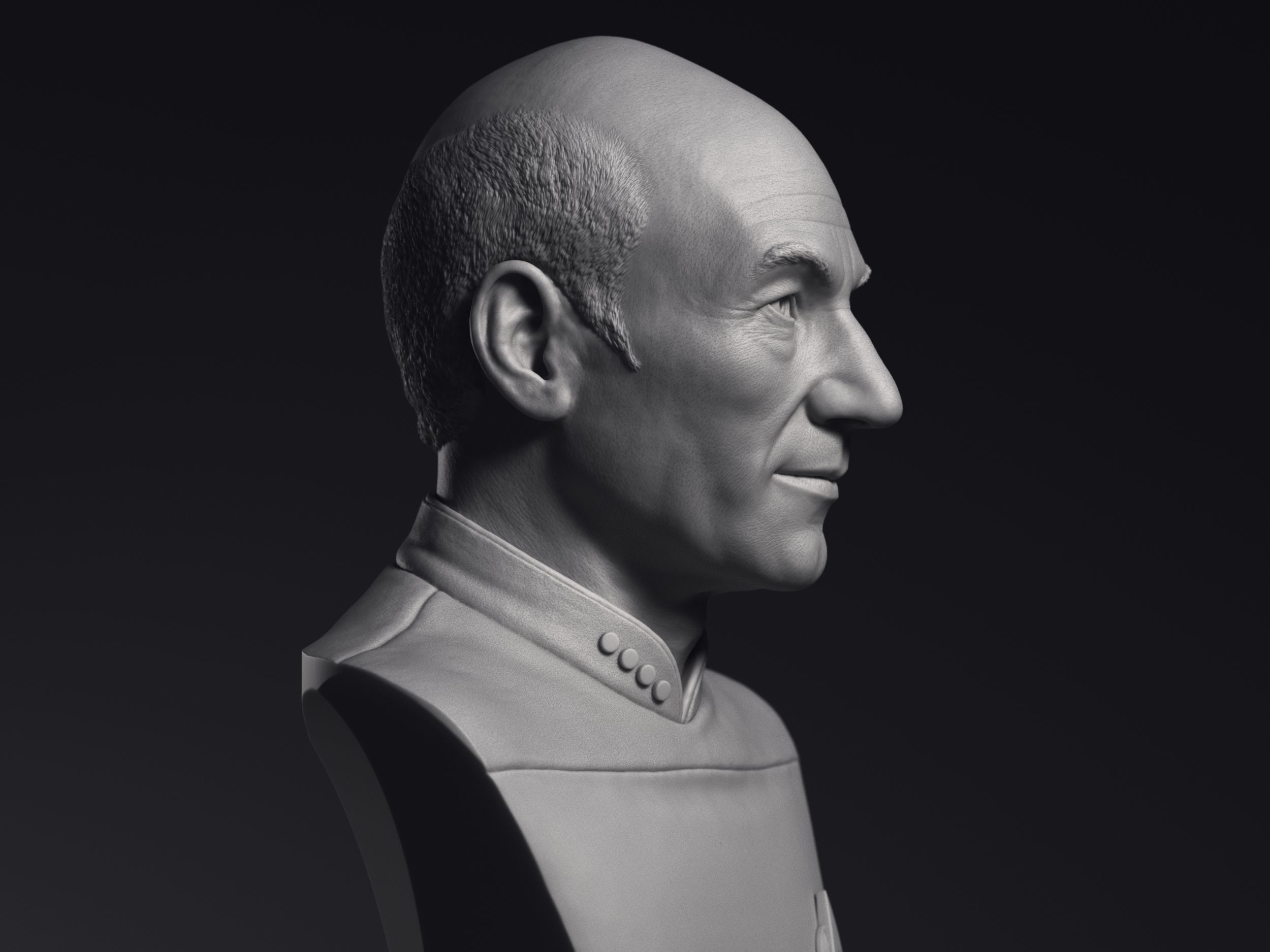 Patrick Stewart as Jean-Luc Picard Bust Printable 3D Model 3D print model_8