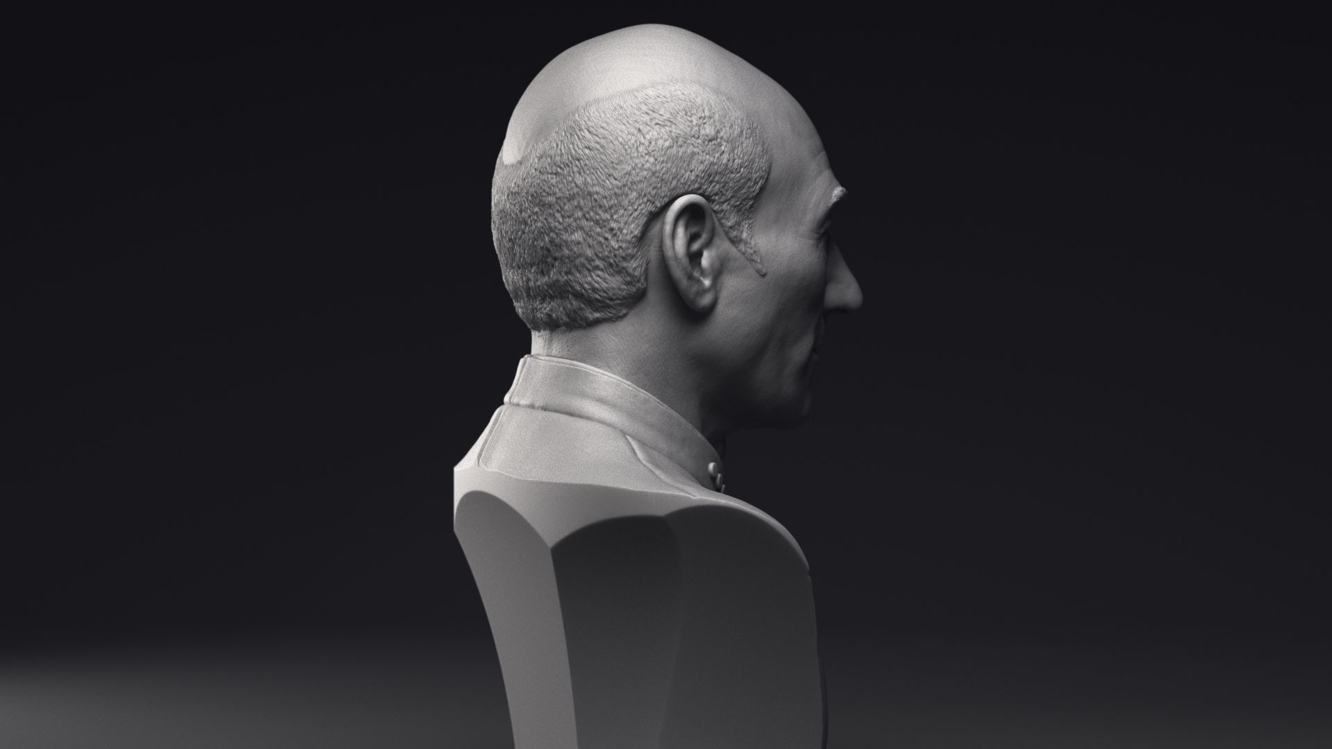 Patrick Stewart as Jean-Luc Picard Bust Printable 3D Model 3D print model_21