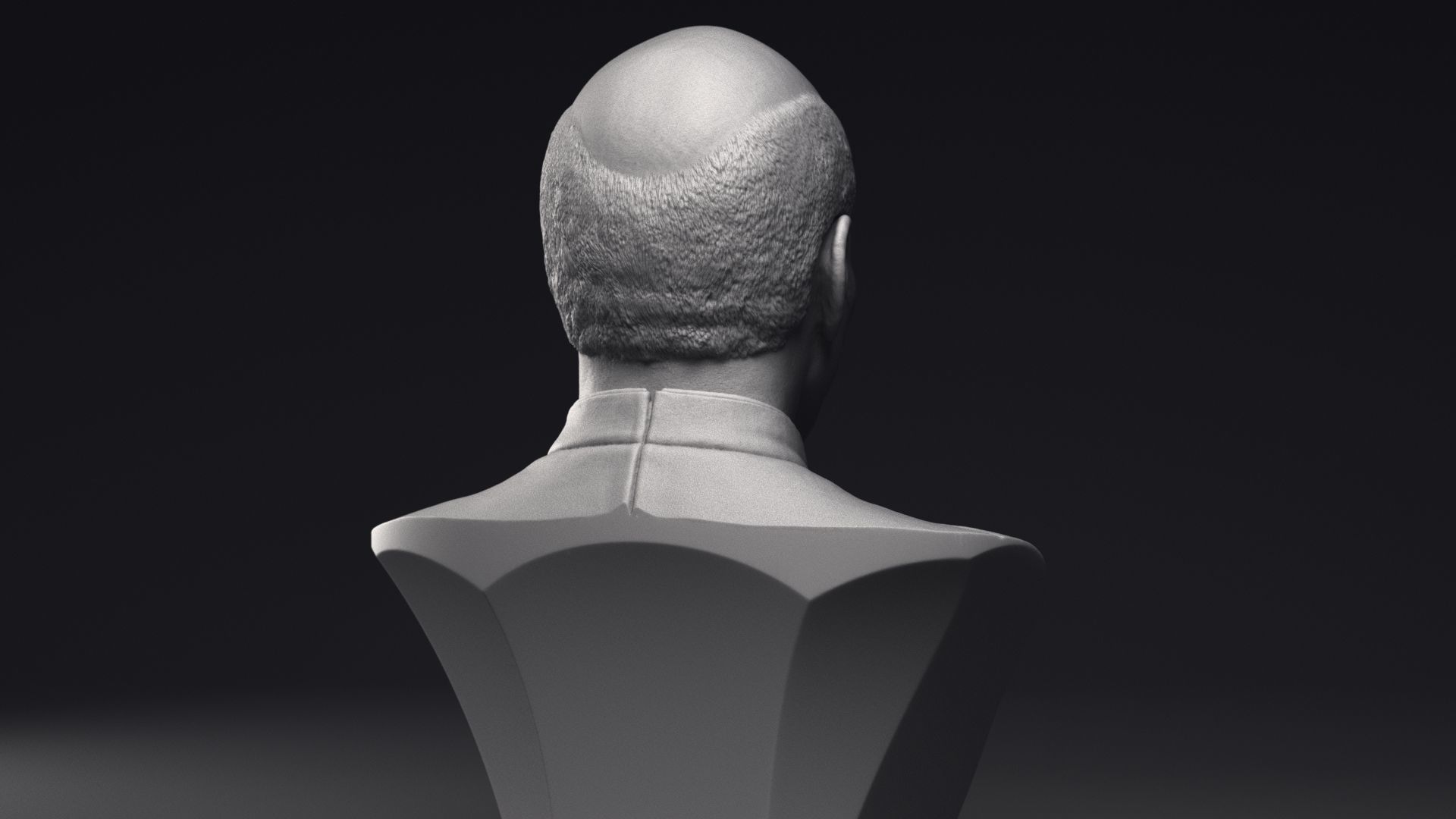Patrick Stewart as Jean-Luc Picard Bust Printable 3D Model 3D print model_19