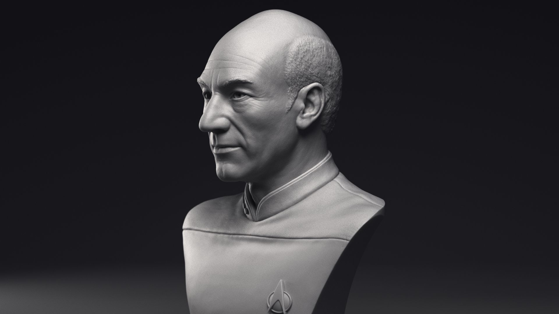 Patrick Stewart as Jean-Luc Picard Bust Printable 3D Model 3D print model_13