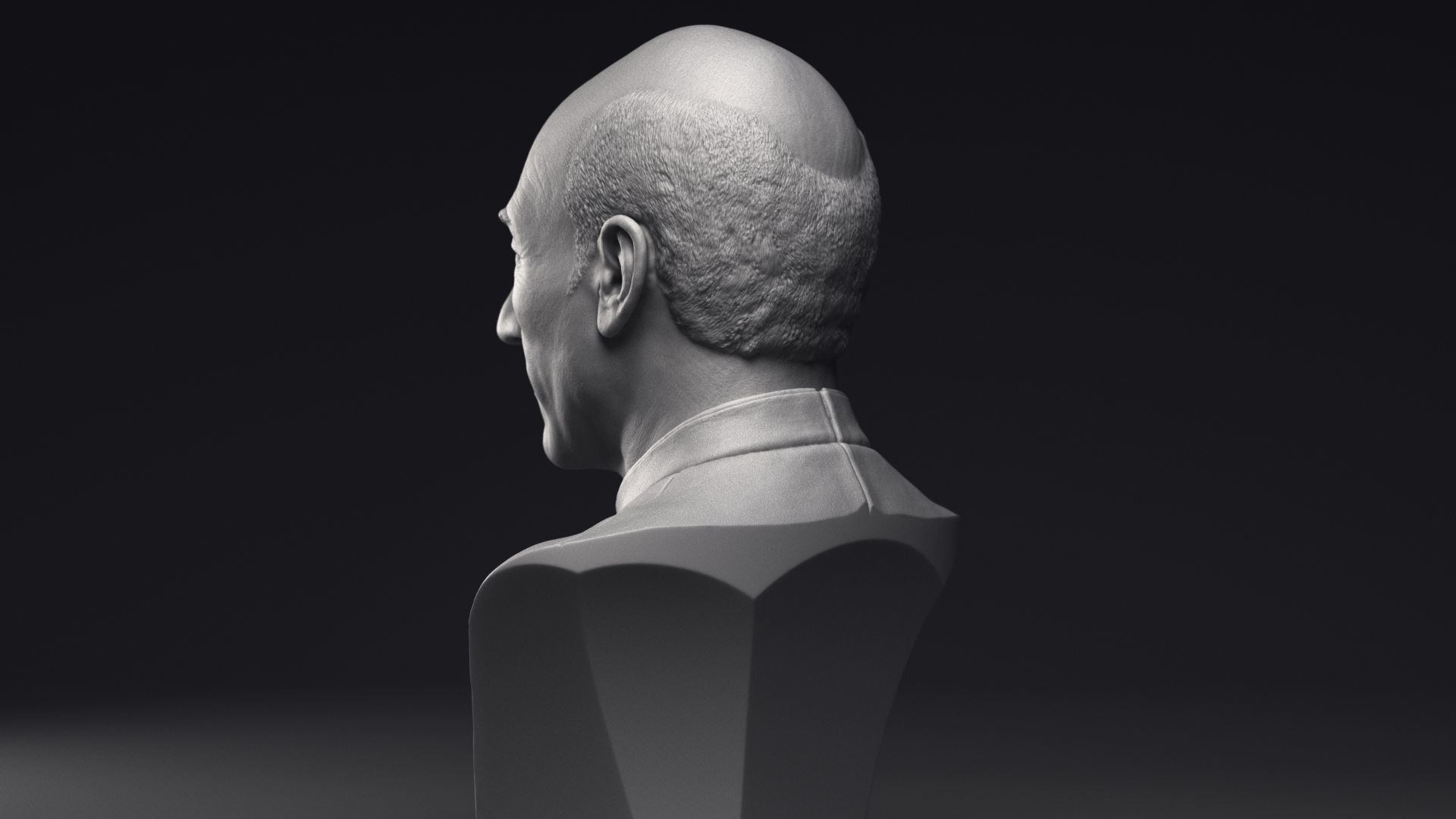 Patrick Stewart as Jean-Luc Picard Bust Printable 3D Model 3D print model_16