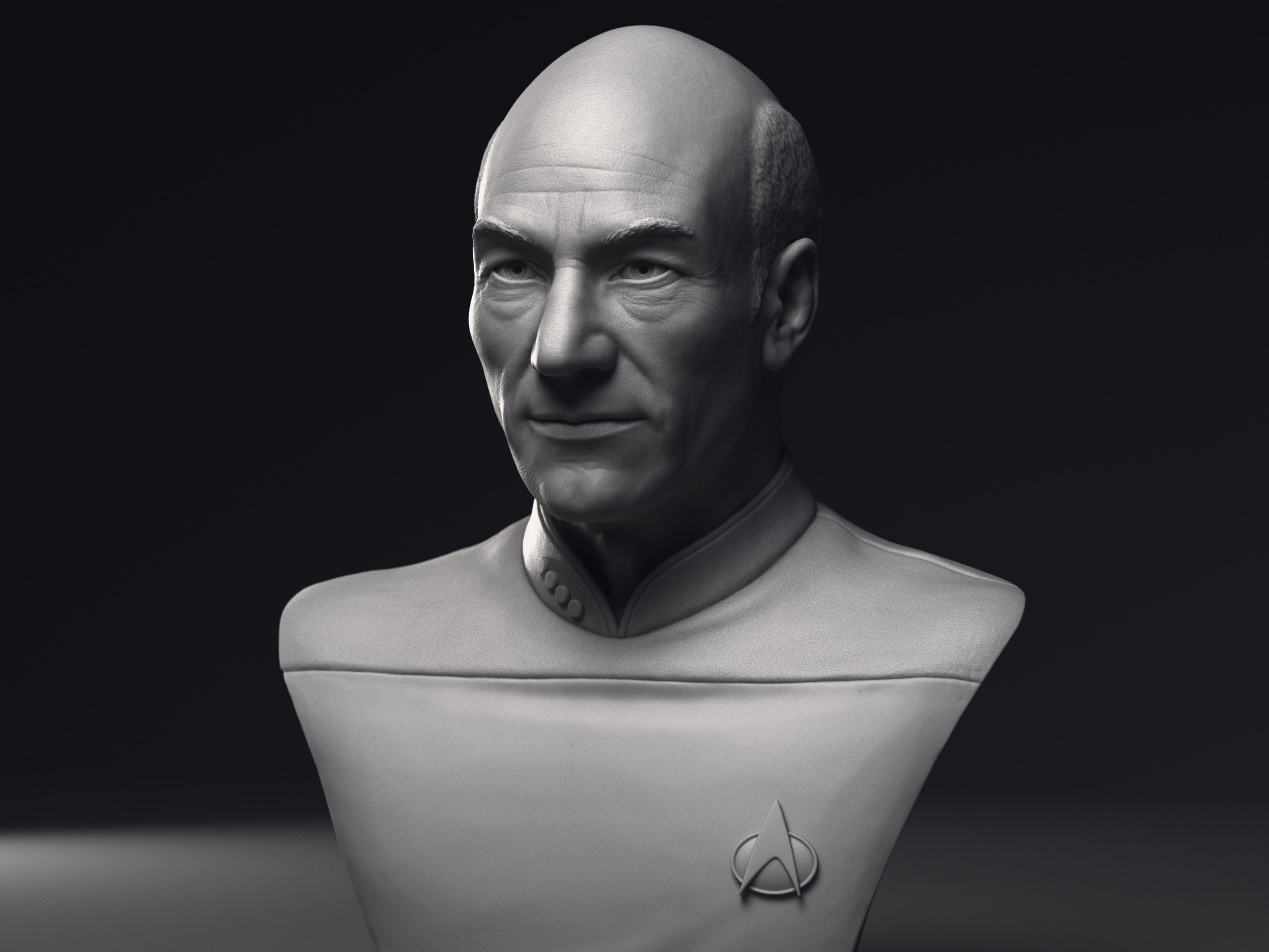 Patrick Stewart as Jean-Luc Picard Bust Printable 3D Model 3D print model_5