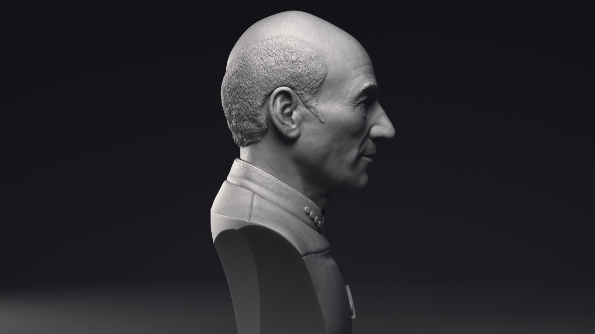 Patrick Stewart as Jean-Luc Picard Bust Printable 3D Model 3D print model_22